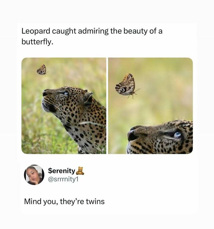 Some Days Just Feel Like A Meme, Here Are 60 That Capture It Perfectly Some Days Just Feel Like A Meme, Here Are 60 That Capture It Perfectly