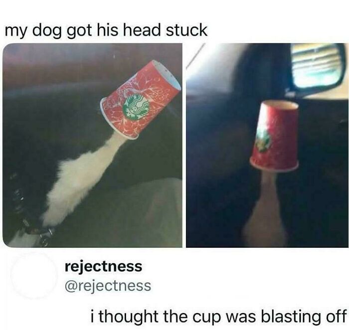 48 Times People Combined “Roses Are Red” Rhyme With Memes And Created Comedy Masterpieces 48 Times People Combined “Roses Are Red” Rhyme With Memes And Created Comedy Masterpieces