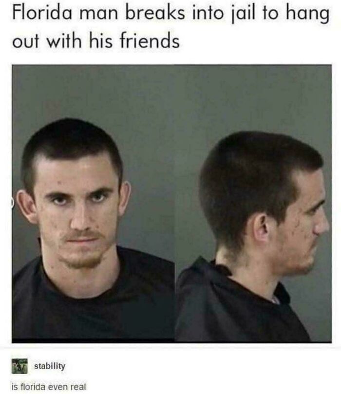 48 Times People Combined “Roses Are Red” Rhyme With Memes And Created Comedy Masterpieces 48 Times People Combined “Roses Are Red” Rhyme With Memes And Created Comedy Masterpieces