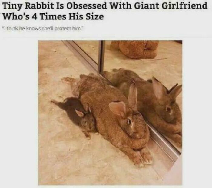 48 Times People Combined “Roses Are Red” Rhyme With Memes And Created Comedy Masterpieces 48 Times People Combined “Roses Are Red” Rhyme With Memes And Created Comedy Masterpieces