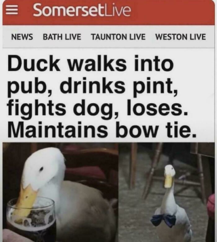 48 Times People Combined “Roses Are Red” Rhyme With Memes And Created Comedy Masterpieces 48 Times People Combined “Roses Are Red” Rhyme With Memes And Created Comedy Masterpieces