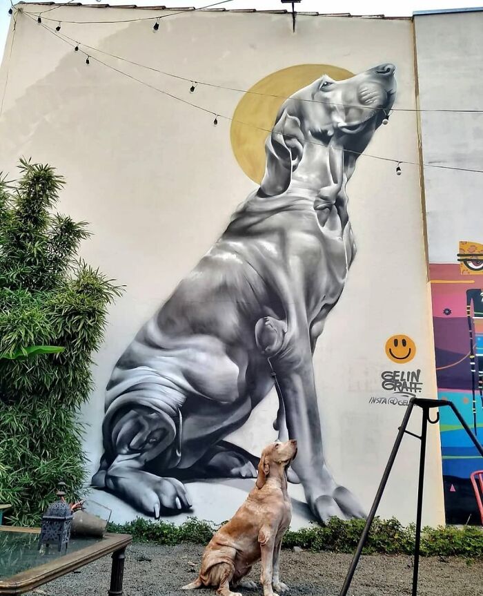 41 Stunning Examples Of Street Art That Prove The Streets Are The Real Museums, As Shared By This Page 41 Stunning Examples Of Street Art That Prove The Streets Are The Real Museums, As Shared By This Page