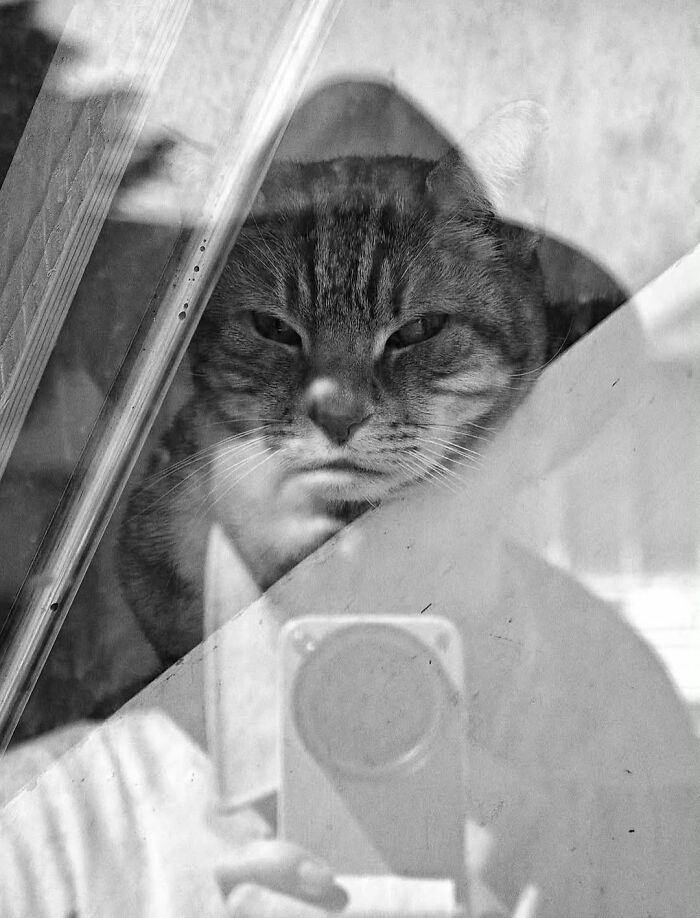 33 Times Photographers Were In The Right Place At The Funniest Possible Moment, As Shared By This Page 33 Times Photographers Were In The Right Place At The Funniest Possible Moment, As Shared By This Page