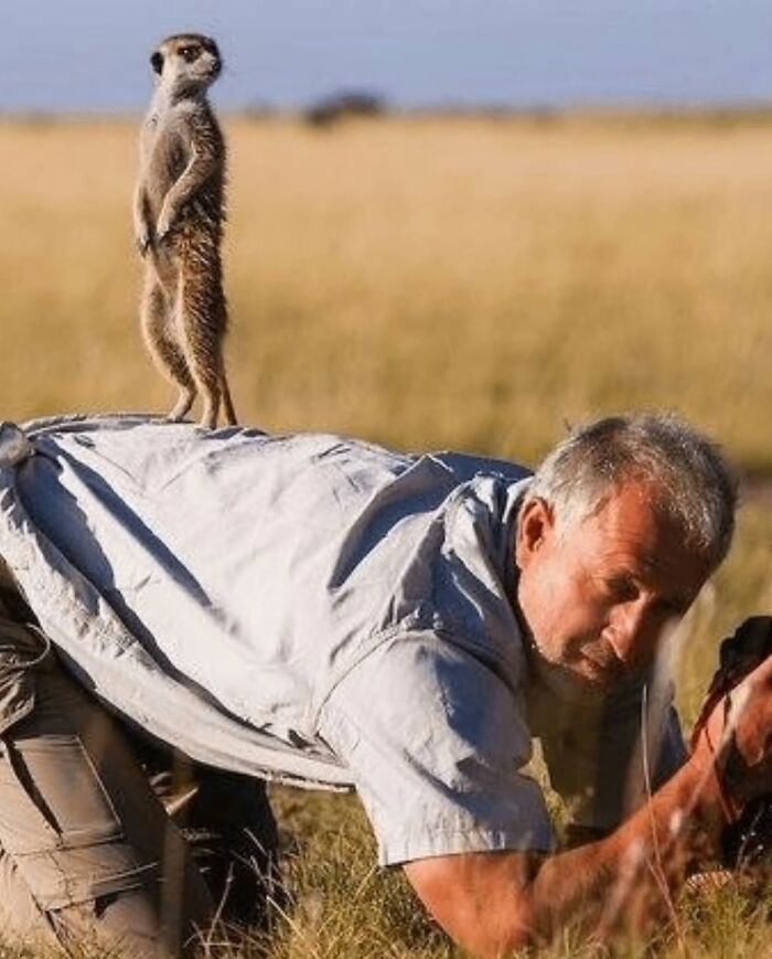 33 Times Photographers Were In The Right Place At The Funniest Possible Moment, As Shared By This Page 33 Times Photographers Were In The Right Place At The Funniest Possible Moment, As Shared By This Page