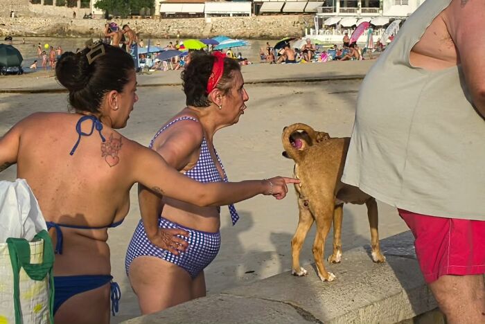 33 Times Photographers Were In The Right Place At The Funniest Possible Moment, As Shared By This Page 33 Times Photographers Were In The Right Place At The Funniest Possible Moment, As Shared By This Page