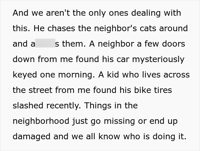 Mom Lets 7YO Run Amok Without Lifting A Finger, Neighbors Are Sick Of All The Harm The Kid Causes