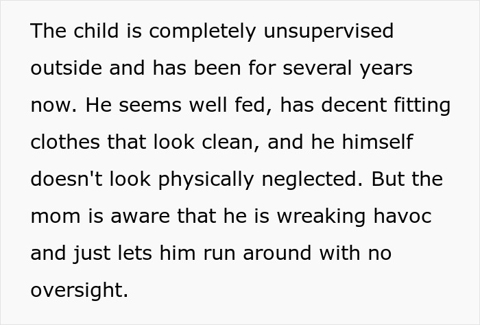 Mom Lets 7YO Run Amok Without Lifting A Finger, Neighbors Are Sick Of All The Harm The Kid Causes