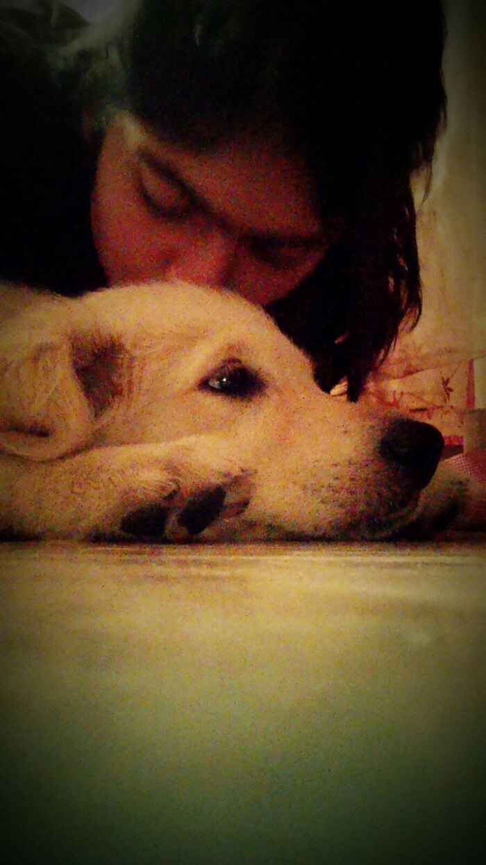 After Losing Her Dog To Cancer, This Woman Built A Community To Help Other Pet Owners After Losing Her Dog To Cancer, This Woman Built A Community To Help Other Pet Owners