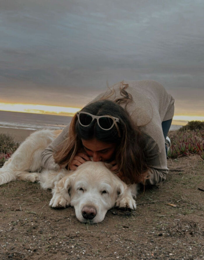 After Losing Her Dog To Cancer, This Woman Built A Community To Help Other Pet Owners After Losing Her Dog To Cancer, This Woman Built A Community To Help Other Pet Owners