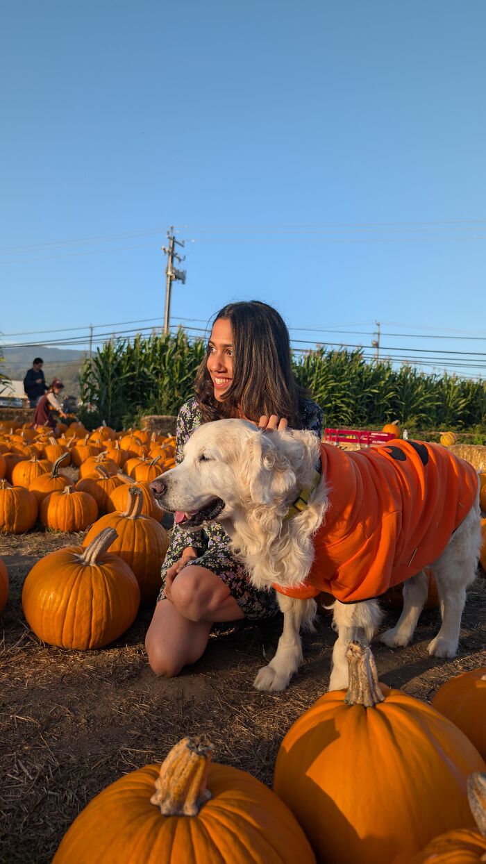 After Losing Her Dog To Cancer, This Woman Built A Community To Help Other Pet Owners After Losing Her Dog To Cancer, This Woman Built A Community To Help Other Pet Owners