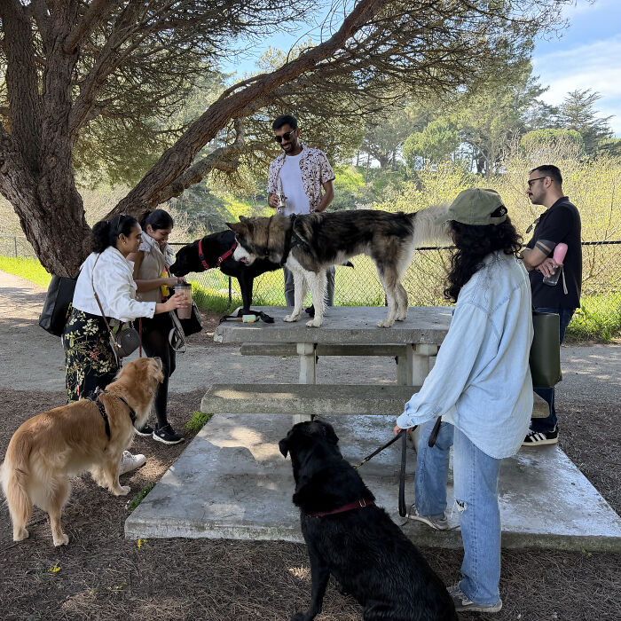 After Losing Her Dog To Cancer, This Woman Built A Community To Help Other Pet Owners After Losing Her Dog To Cancer, This Woman Built A Community To Help Other Pet Owners