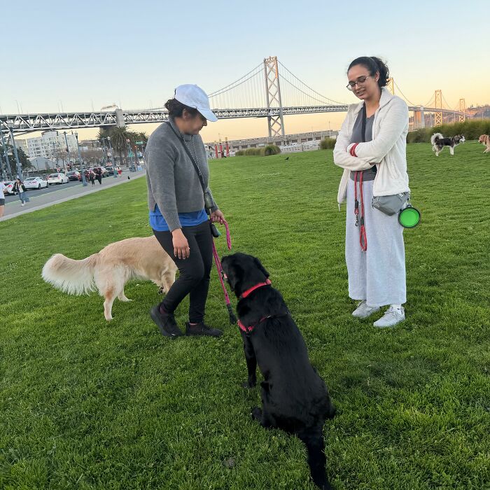 After Losing Her Dog To Cancer, This Woman Built A Community To Help Other Pet Owners After Losing Her Dog To Cancer, This Woman Built A Community To Help Other Pet Owners