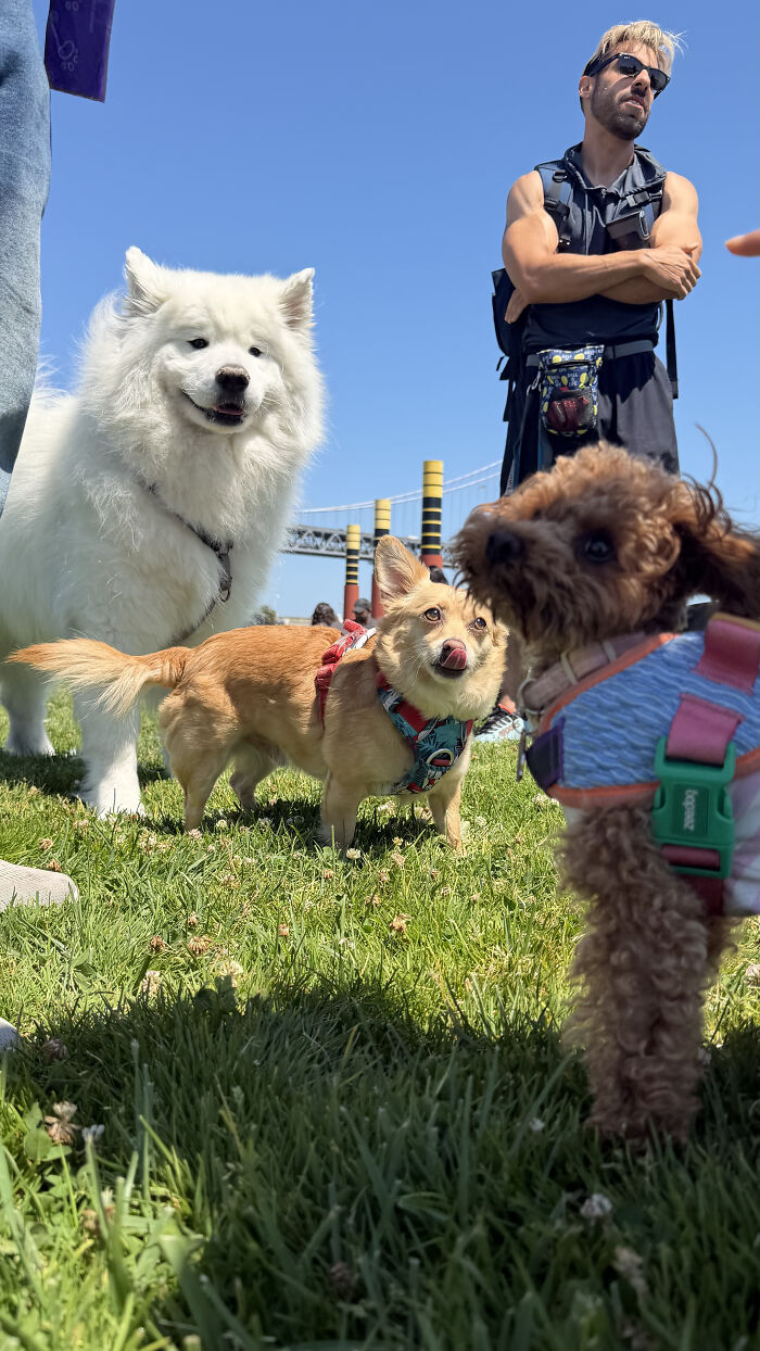 After Losing Her Dog To Cancer, This Woman Built A Community To Help Other Pet Owners After Losing Her Dog To Cancer, This Woman Built A Community To Help Other Pet Owners