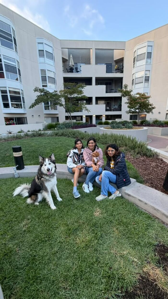 After Losing Her Dog To Cancer, This Woman Built A Community To Help Other Pet Owners After Losing Her Dog To Cancer, This Woman Built A Community To Help Other Pet Owners