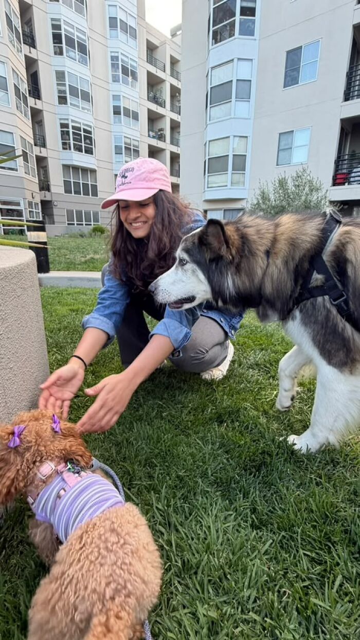 After Losing Her Dog To Cancer, This Woman Built A Community To Help Other Pet Owners After Losing Her Dog To Cancer, This Woman Built A Community To Help Other Pet Owners