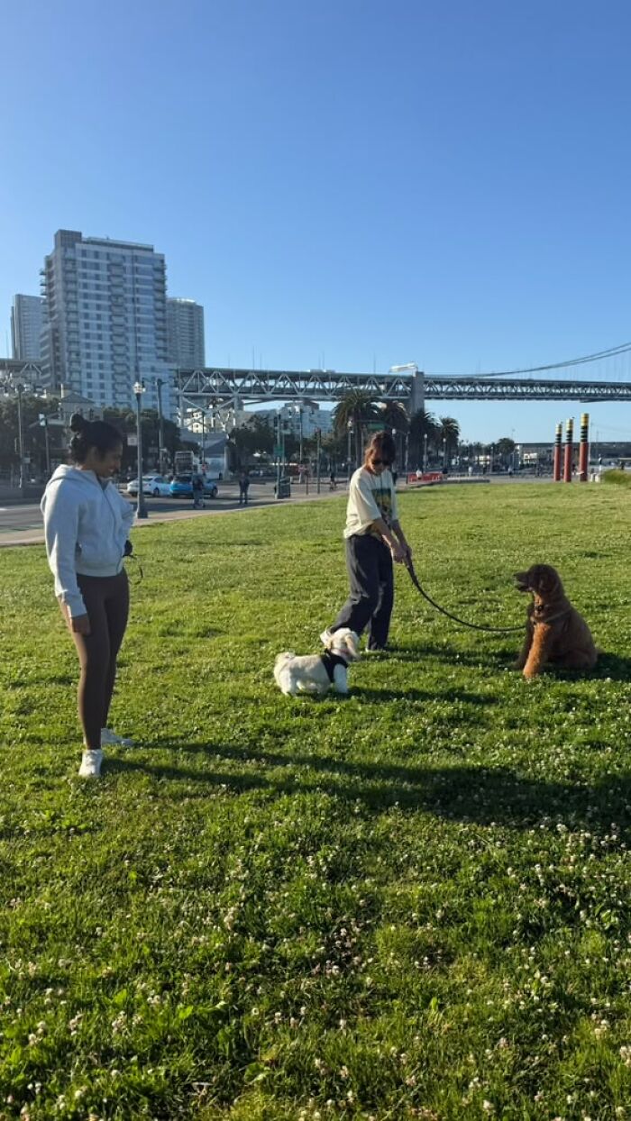 After Losing Her Dog To Cancer, This Woman Built A Community To Help Other Pet Owners After Losing Her Dog To Cancer, This Woman Built A Community To Help Other Pet Owners