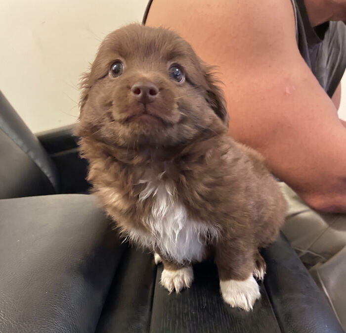 107 Wholesome Animal Photos That Might Restore Your Faith In The Internet 107 Wholesome Animal Photos That Might Restore Your Faith In The Internet