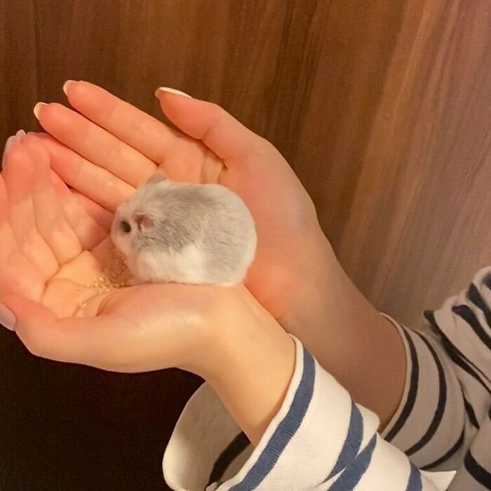 107 Wholesome Animal Photos That Might Restore Your Faith In The Internet 107 Wholesome Animal Photos That Might Restore Your Faith In The Internet