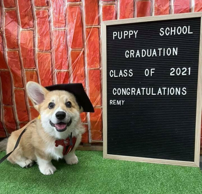 107 Wholesome Animal Photos That Might Restore Your Faith In The Internet 107 Wholesome Animal Photos That Might Restore Your Faith In The Internet