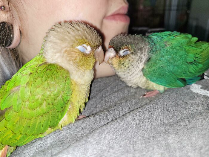 107 Wholesome Animal Photos That Might Restore Your Faith In The Internet 107 Wholesome Animal Photos That Might Restore Your Faith In The Internet