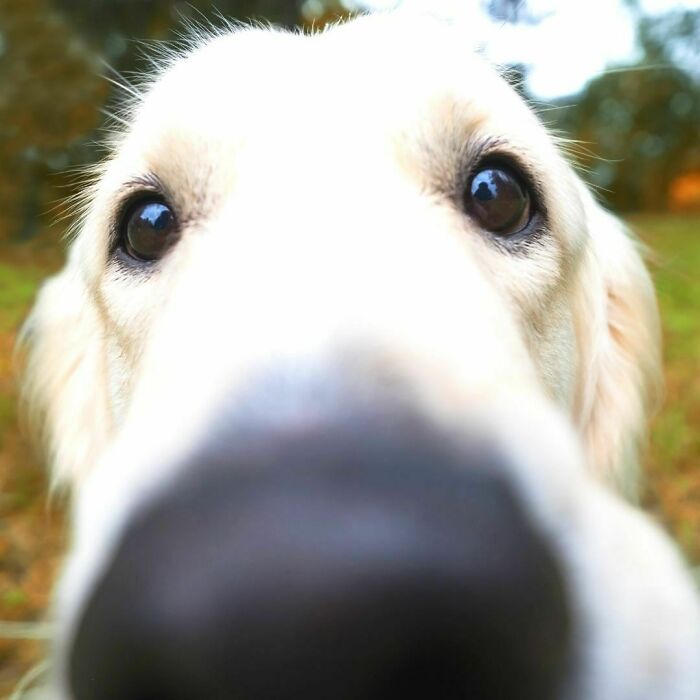 107 Wholesome Animal Photos That Might Restore Your Faith In The Internet 107 Wholesome Animal Photos That Might Restore Your Faith In The Internet