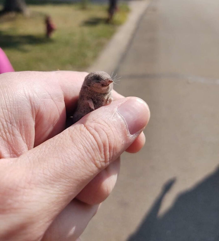 107 Wholesome Animal Photos That Might Restore Your Faith In The Internet 107 Wholesome Animal Photos That Might Restore Your Faith In The Internet