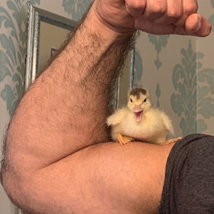 107 Wholesome Animal Photos That Might Restore Your Faith In The Internet 107 Wholesome Animal Photos That Might Restore Your Faith In The Internet