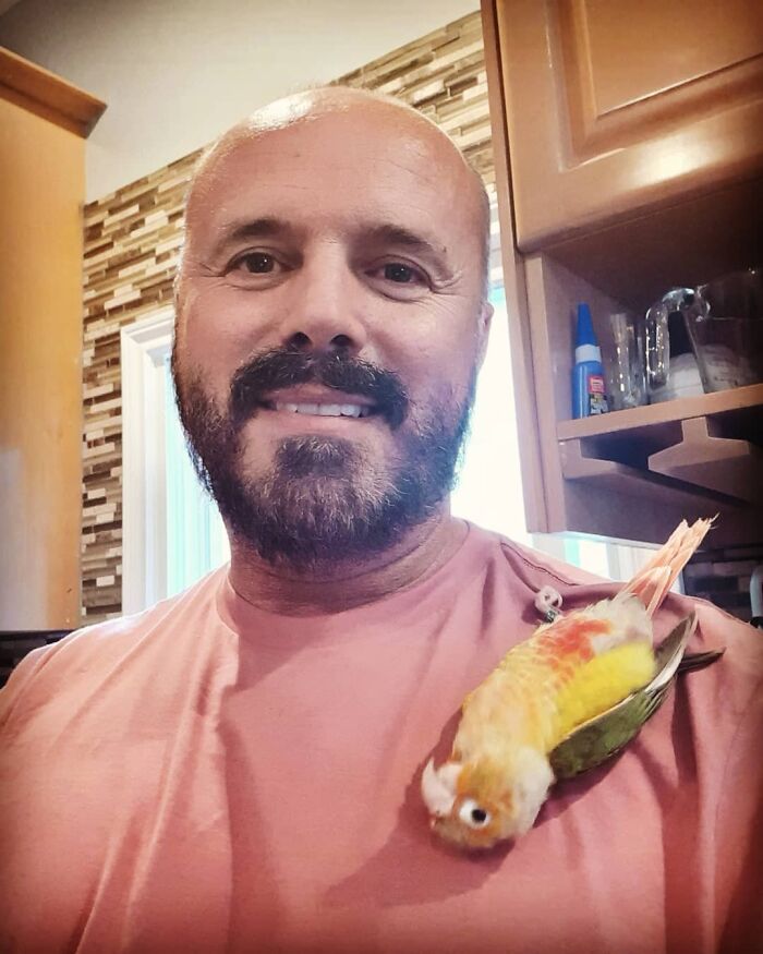 107 Wholesome Animal Photos That Might Restore Your Faith In The Internet 107 Wholesome Animal Photos That Might Restore Your Faith In The Internet