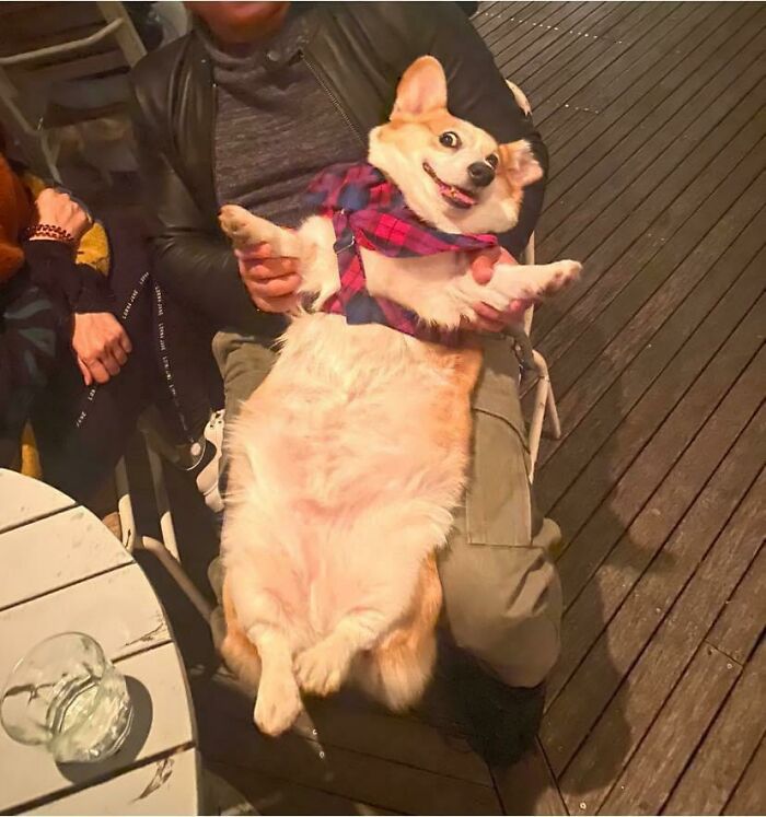 107 Wholesome Animal Photos That Might Restore Your Faith In The Internet 107 Wholesome Animal Photos That Might Restore Your Faith In The Internet