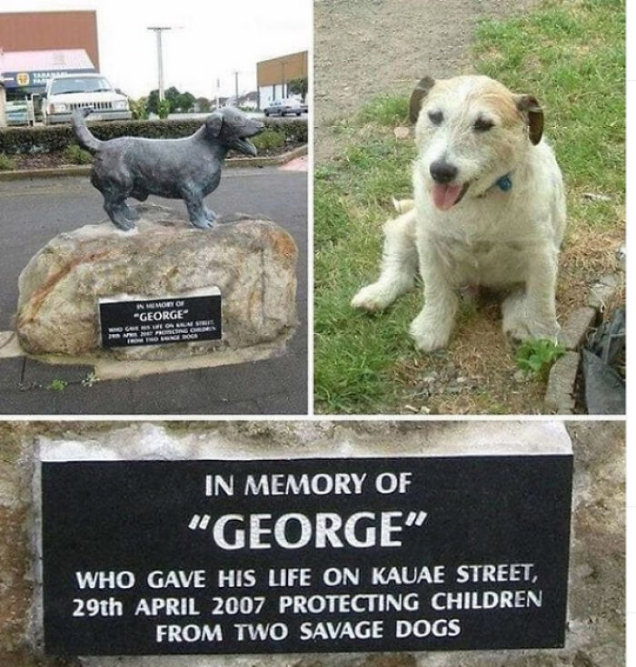 107 Wholesome Animal Photos That Might Restore Your Faith In The Internet 107 Wholesome Animal Photos That Might Restore Your Faith In The Internet