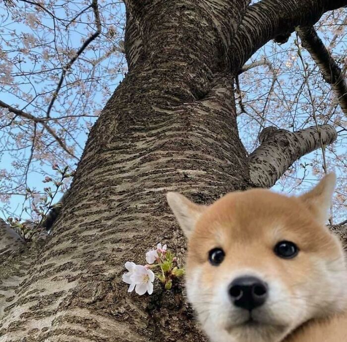 107 Wholesome Animal Photos That Might Restore Your Faith In The Internet 107 Wholesome Animal Photos That Might Restore Your Faith In The Internet