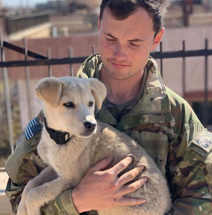 107 Wholesome Animal Photos That Might Restore Your Faith In The Internet 107 Wholesome Animal Photos That Might Restore Your Faith In The Internet