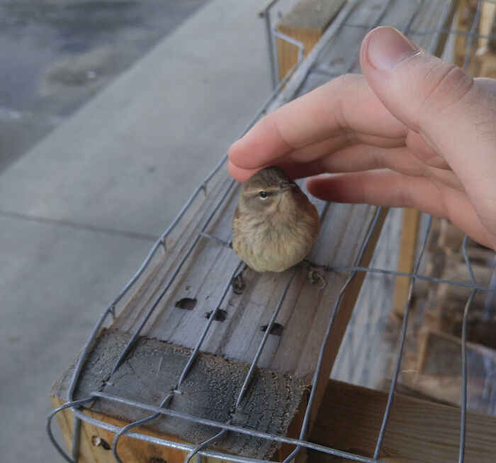 107 Wholesome Animal Photos That Might Restore Your Faith In The Internet 107 Wholesome Animal Photos That Might Restore Your Faith In The Internet
