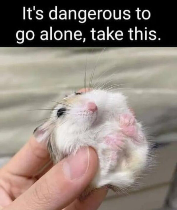 107 Wholesome Animal Photos That Might Restore Your Faith In The Internet 107 Wholesome Animal Photos That Might Restore Your Faith In The Internet