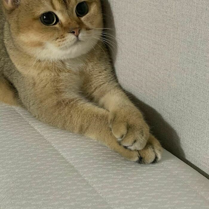 107 Wholesome Animal Photos That Might Restore Your Faith In The Internet 107 Wholesome Animal Photos That Might Restore Your Faith In The Internet