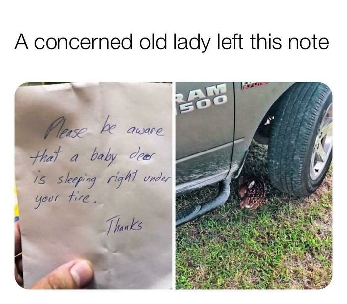 107 Wholesome Animal Photos That Might Restore Your Faith In The Internet 107 Wholesome Animal Photos That Might Restore Your Faith In The Internet