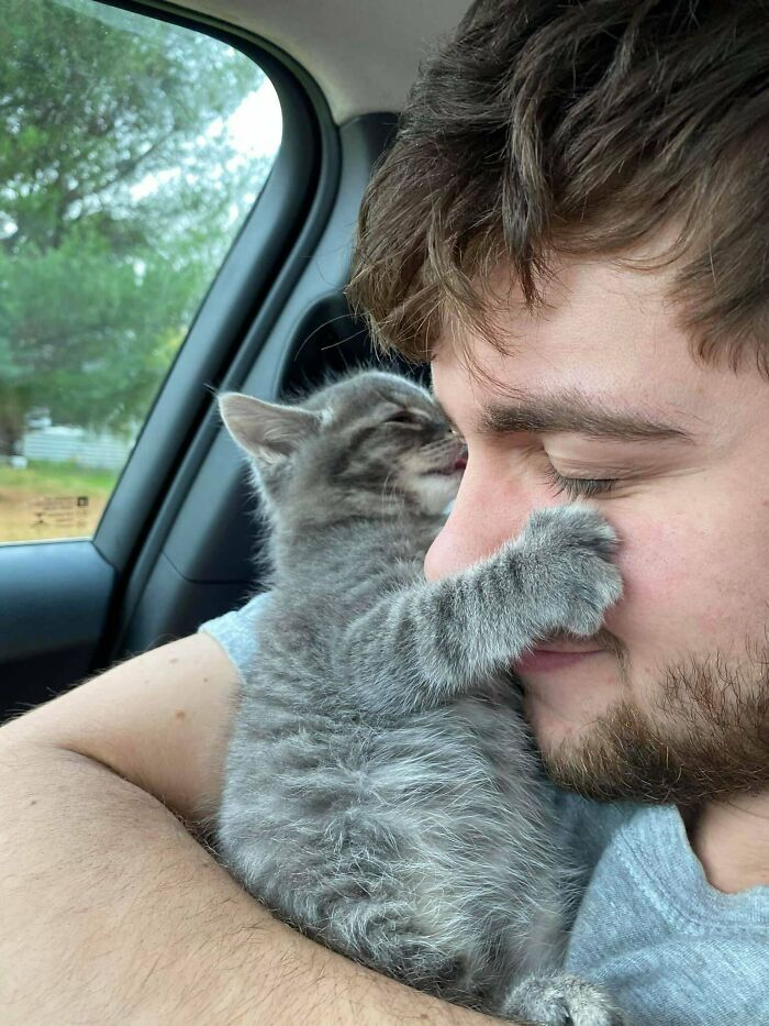 107 Wholesome Animal Photos That Might Restore Your Faith In The Internet 107 Wholesome Animal Photos That Might Restore Your Faith In The Internet