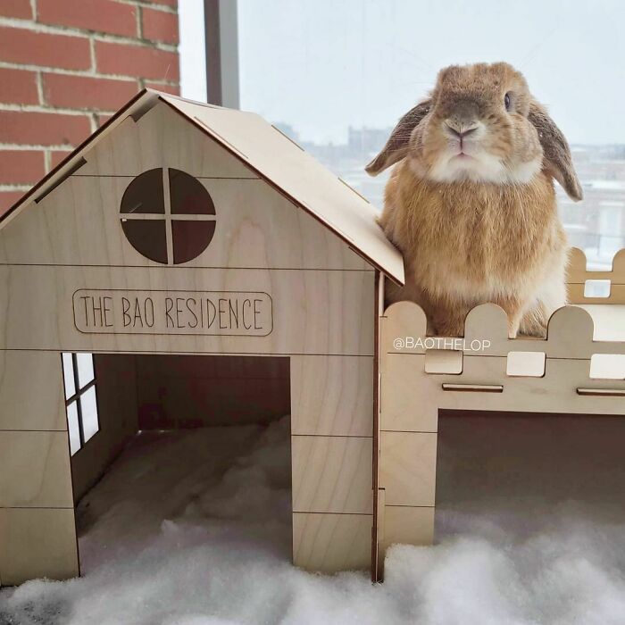 107 Wholesome Animal Photos That Might Restore Your Faith In The Internet 107 Wholesome Animal Photos That Might Restore Your Faith In The Internet