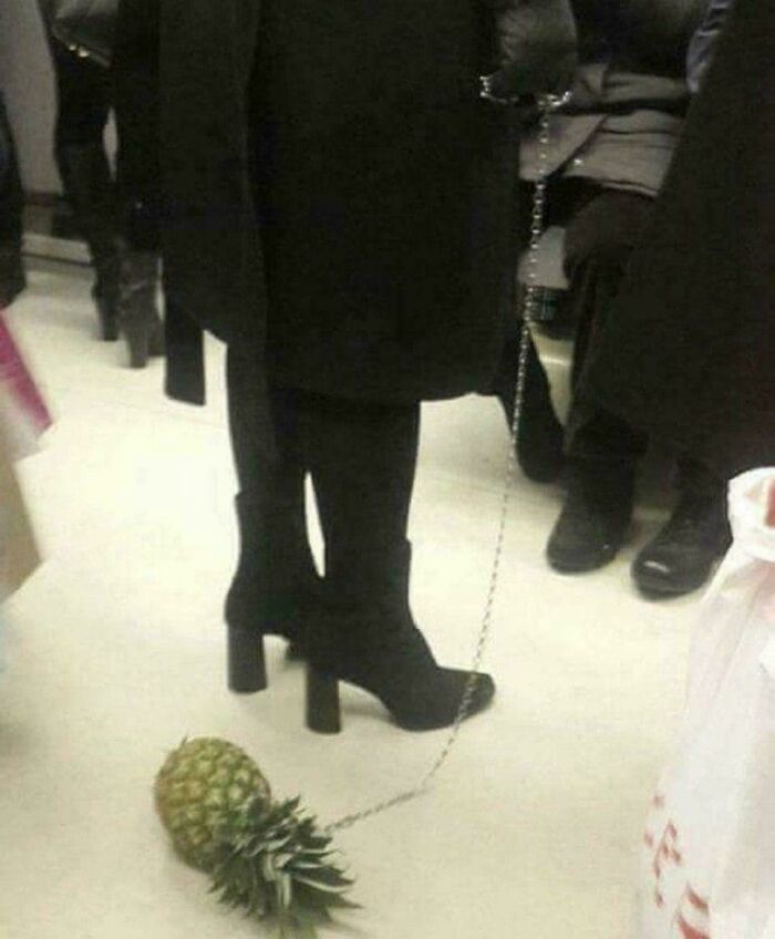 The World Is Getting Crazier Every Day And These 59 Photos Are Evidence The World Is Getting Crazier Every Day And These 59 Photos Are Evidence