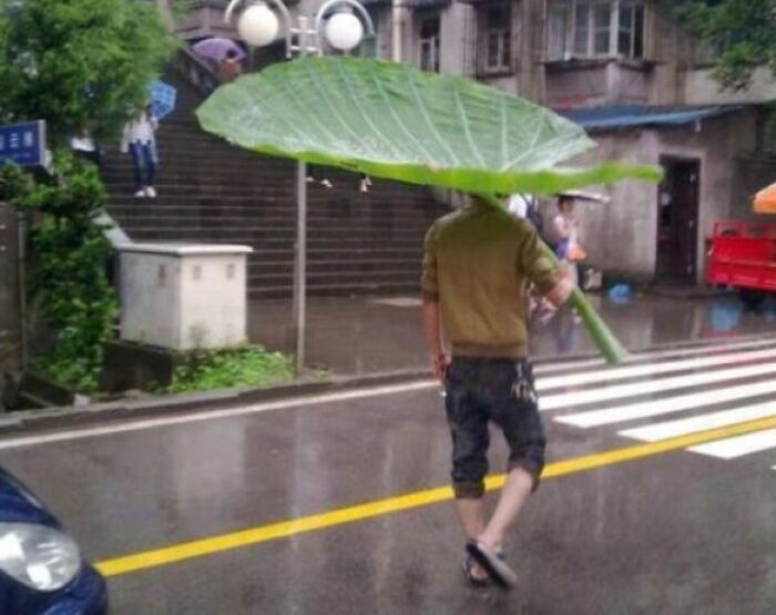 The World Is Getting Crazier Every Day And These 59 Photos Are Evidence The World Is Getting Crazier Every Day And These 59 Photos Are Evidence