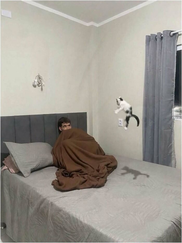 The World Is Getting Crazier Every Day And These 59 Photos Are Evidence The World Is Getting Crazier Every Day And These 59 Photos Are Evidence