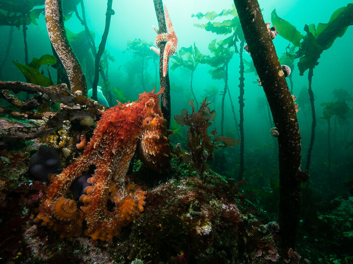 22 Best Photos From The Canadian Wildlife Photography Of The Year Competition