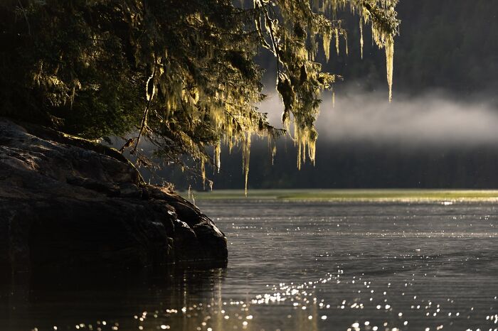 22 Best Photos From The Canadian Wildlife Photography Of The Year Competition
