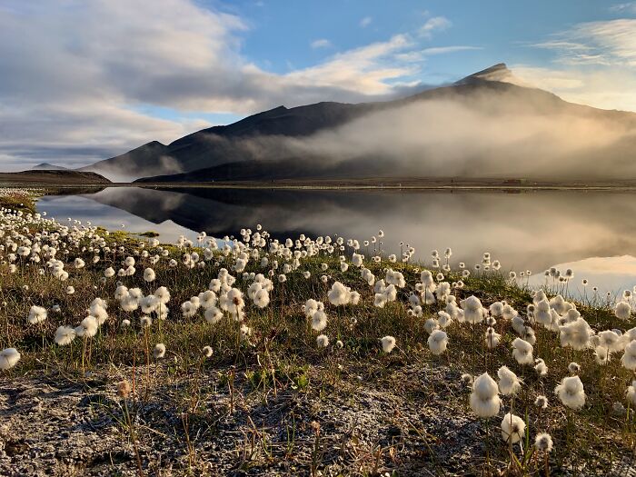 22 Best Photos From The Canadian Wildlife Photography Of The Year Competition