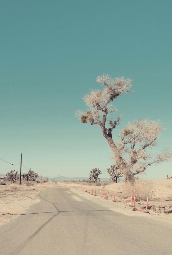 This Photographer Explores The Rusty And Dusty Remnants Of A Bygone American West (29 Pics) This Photographer Explores The Rusty And Dusty Remnants Of A Bygone American West (29 Pics)