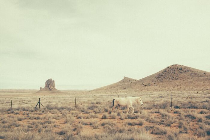 This Photographer Explores The Rusty And Dusty Remnants Of A Bygone American West (29 Pics) This Photographer Explores The Rusty And Dusty Remnants Of A Bygone American West (29 Pics)