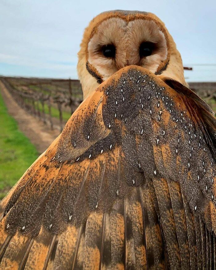 106 Awe-Inspiring Photos That Prove Nature Is Freaking Lit (New Pics) 106 Awe-Inspiring Photos That Prove Nature Is Freaking Lit (New Pics)