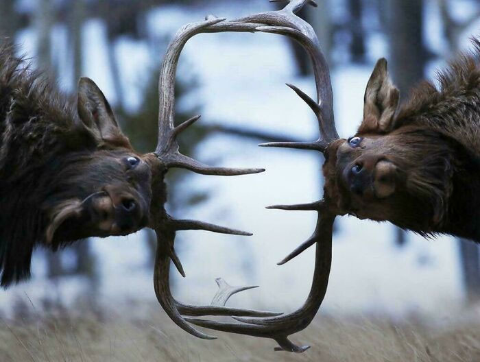 106 Awe-Inspiring Photos That Prove Nature Is Freaking Lit (New Pics) 106 Awe-Inspiring Photos That Prove Nature Is Freaking Lit (New Pics)