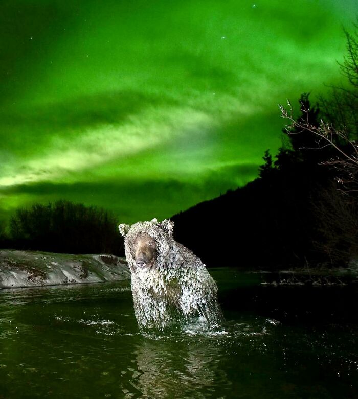 106 Awe-Inspiring Photos That Prove Nature Is Freaking Lit (New Pics) 106 Awe-Inspiring Photos That Prove Nature Is Freaking Lit (New Pics)