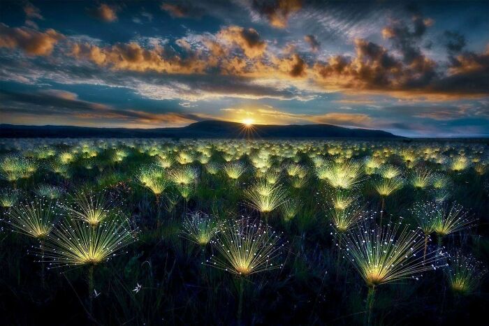 106 Awe-Inspiring Photos That Prove Nature Is Freaking Lit (New Pics) 106 Awe-Inspiring Photos That Prove Nature Is Freaking Lit (New Pics)